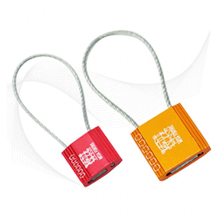 Cable Lock 250 x 30cm