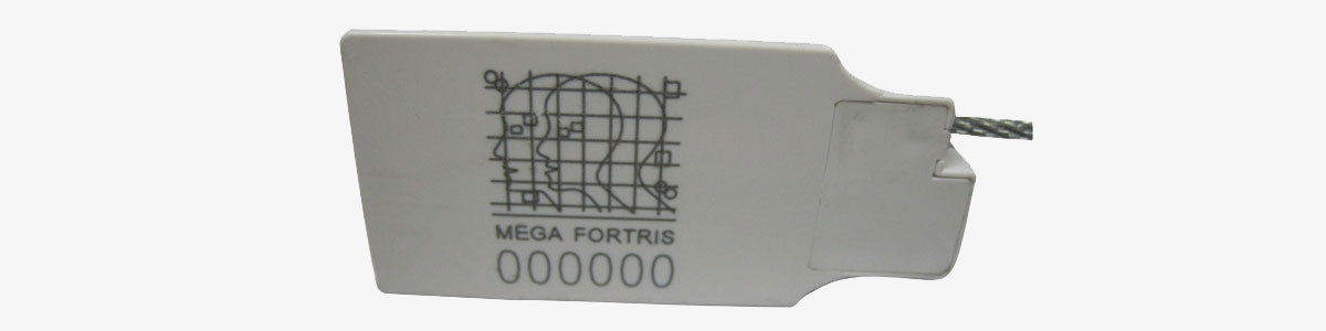 Security Seals 101 Security Seals 101